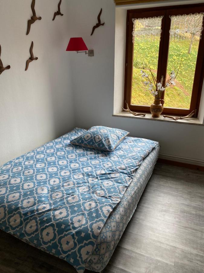 Au Nid Des Pies Apartment Soultzeren Екстериор снимка
